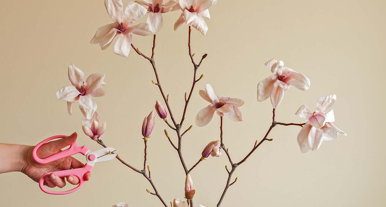 Liên hệ với chúng tôi