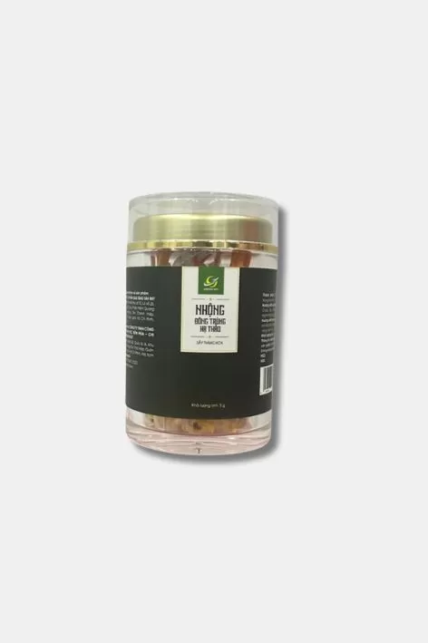 Nhộng đông trùng hạ thảo sấy thăng hoa