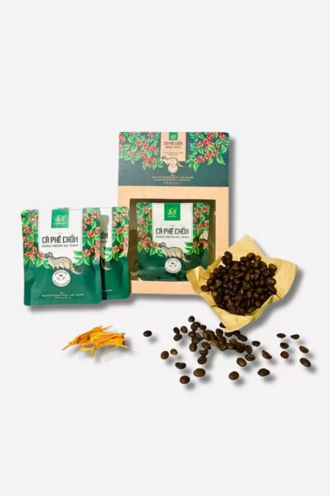 Cà phê Chồn phin giấy Đông trùng hạ thảo