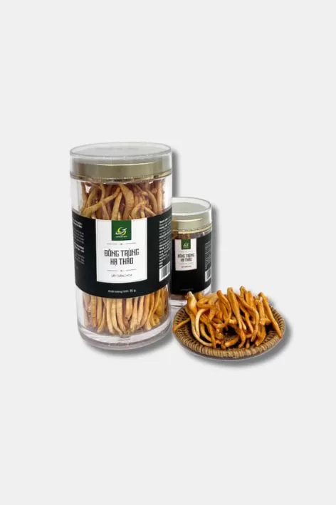 Đông trùng hạ thảo sấy thăng hoa