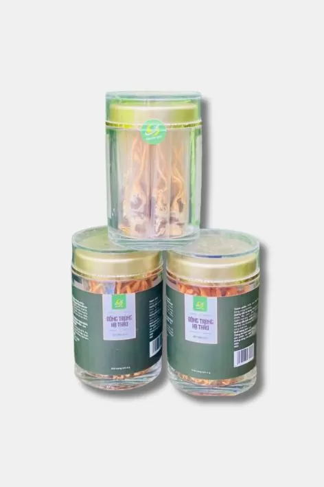 Nhộng đông trùng hạ thảo sấy thăng hoa