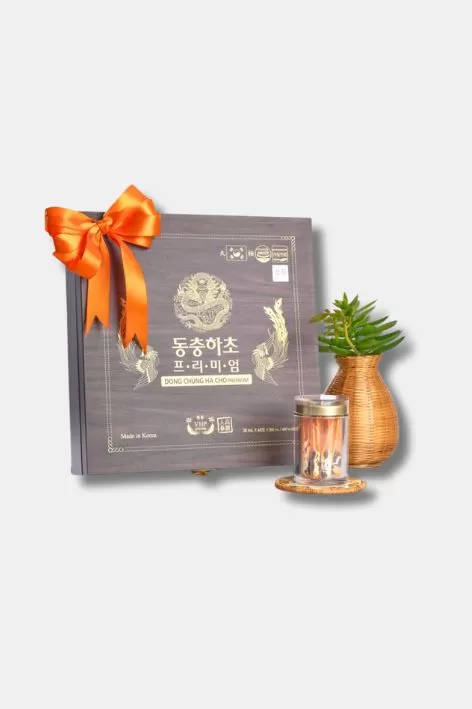 Đông trùng hạ thảo cao cấp Daedong